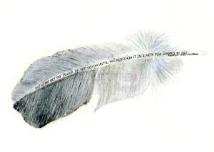 Drawing of a black and white feather, with the words: You do not get the power of the vision until you perform it on earth for others to see.