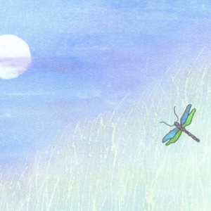 MC-719 DRAGONFLY SPRING
