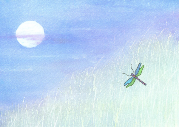MC-719 DRAGONFLY SPRING