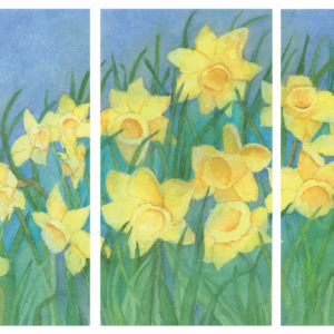 MC-750 EASTER DAFFODILS