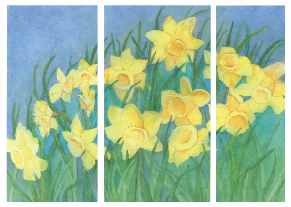 MC-750 EASTER DAFFODILS