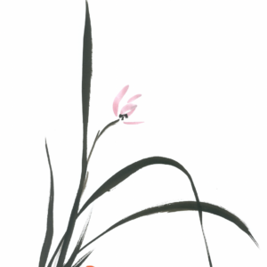 MC-929 SPRING ORCHID