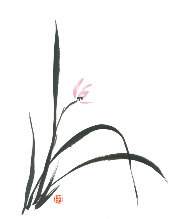 MC-929 SPRING ORCHID