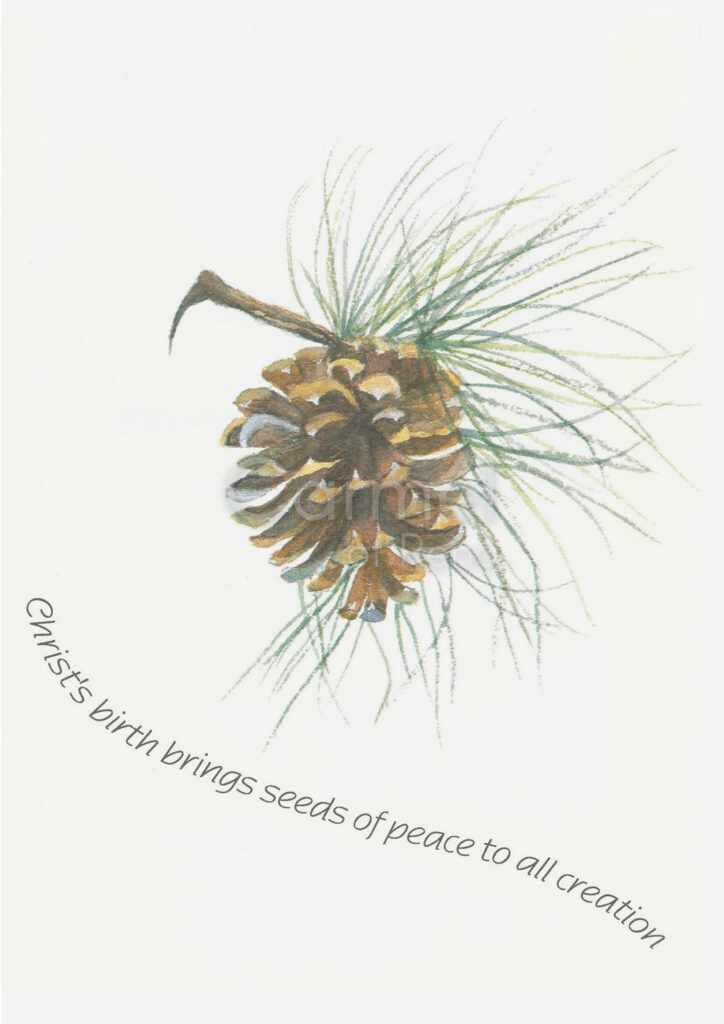Pine Cone – Card