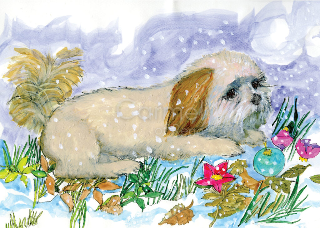 Apso in the Snow – Card