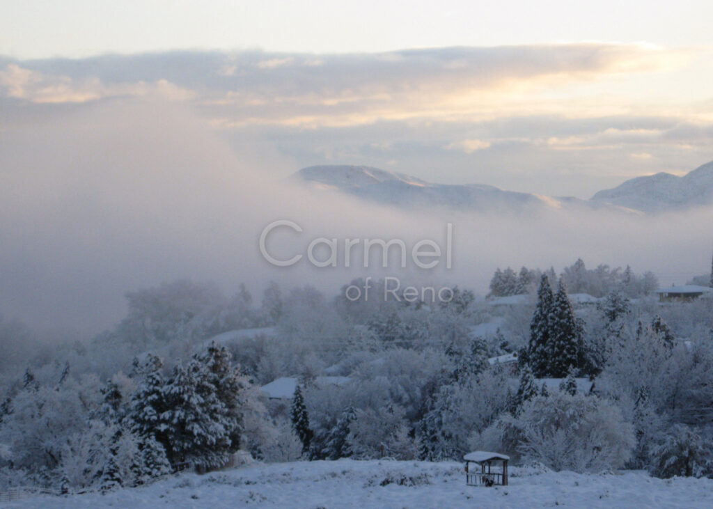 Season of Wonder – Canvas