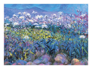 Field of Daisies - Print