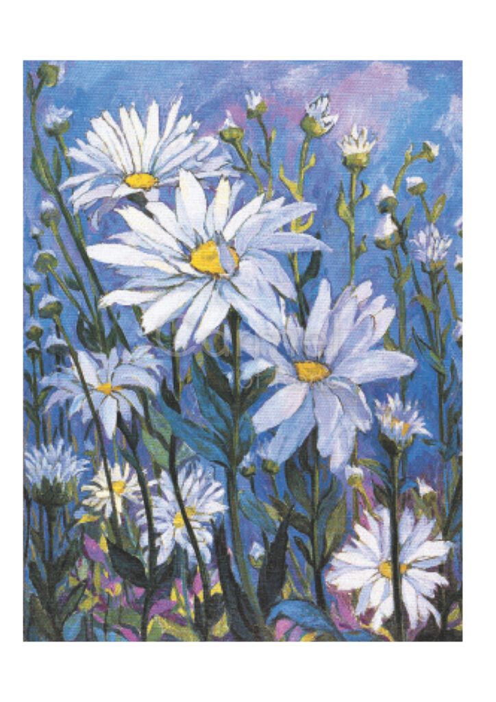 Proud Daisies – Card
