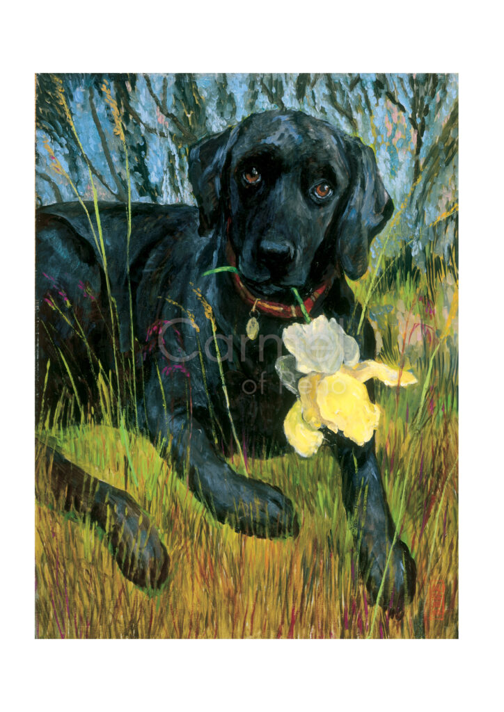 Caitlin – Card