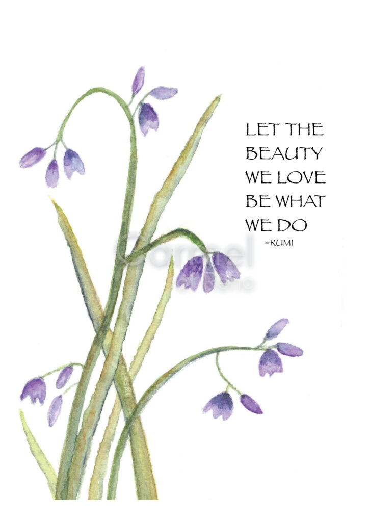 The Beauty We Love – Card