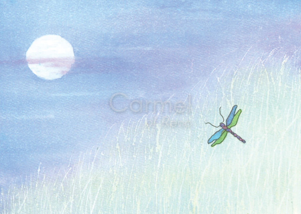 Dragonfly Spring – Card