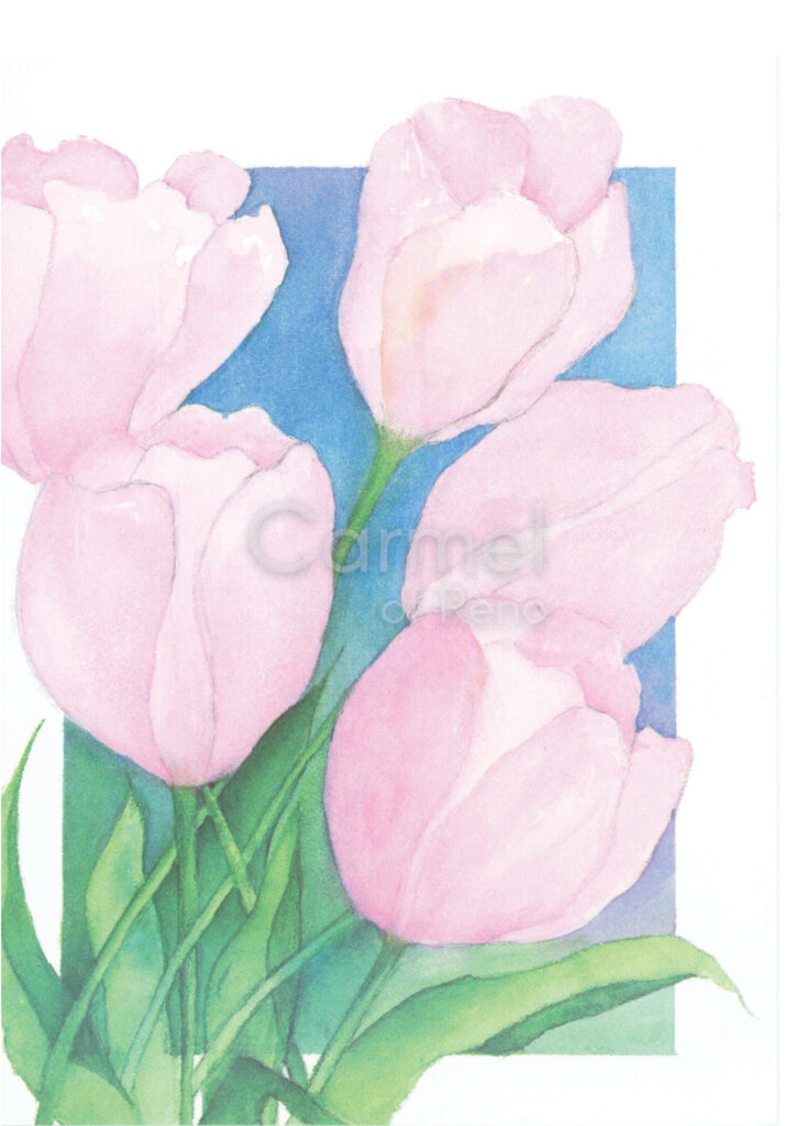 Spring Tulips – Card