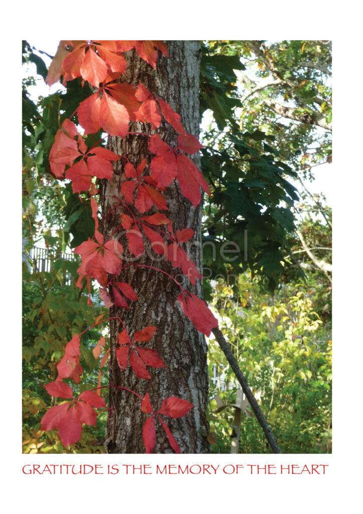 Thanksgiving Gift – Card
