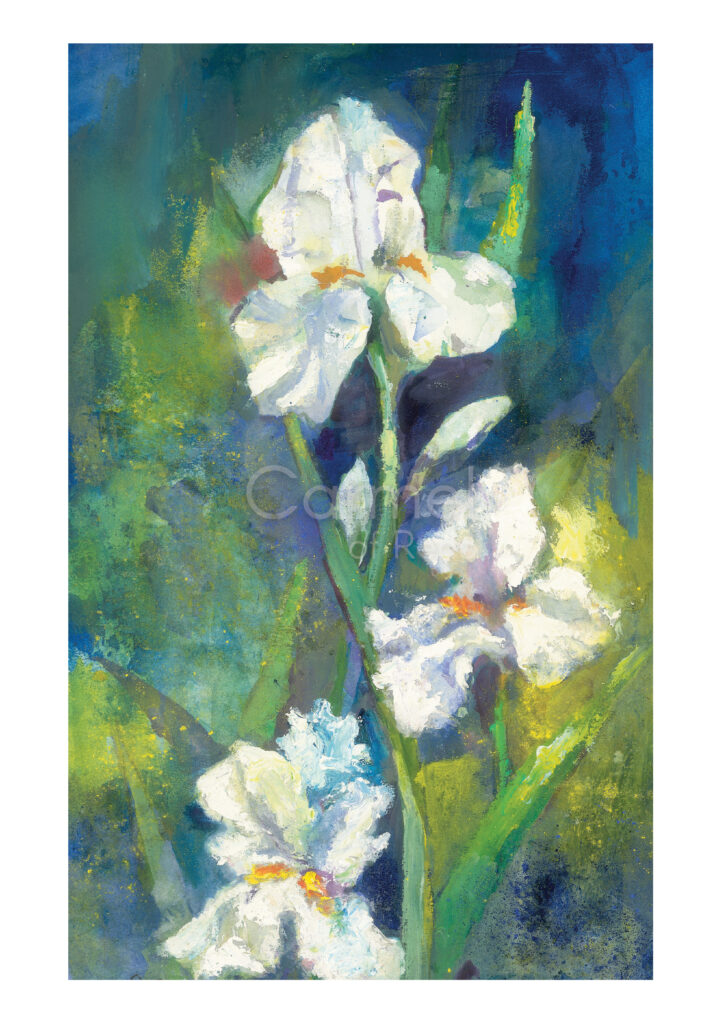 Blue Iris – Card
