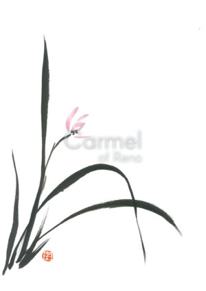 Illustration of a single orchid on a stem