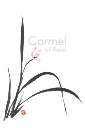 Spring Orchid - Canvas