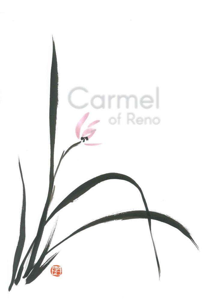 Spring Orchid – Canvas