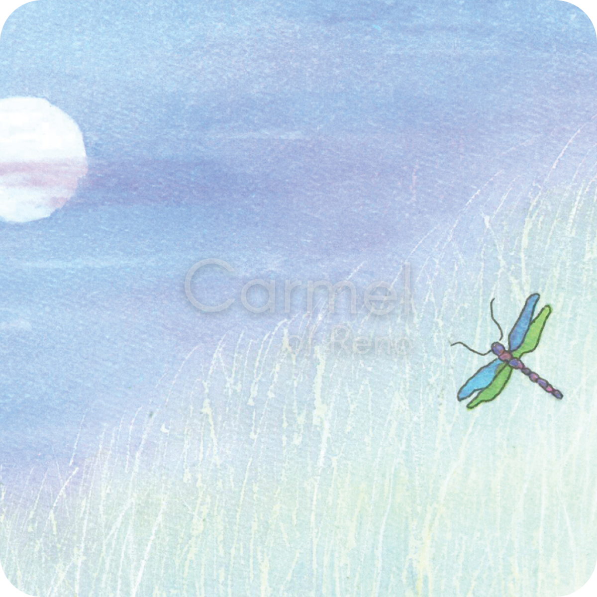 Dragonfly at night with the moon in the background