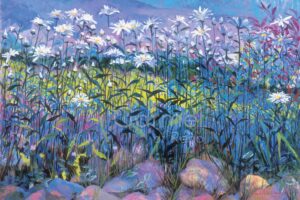 Field of Daisies - Canvas