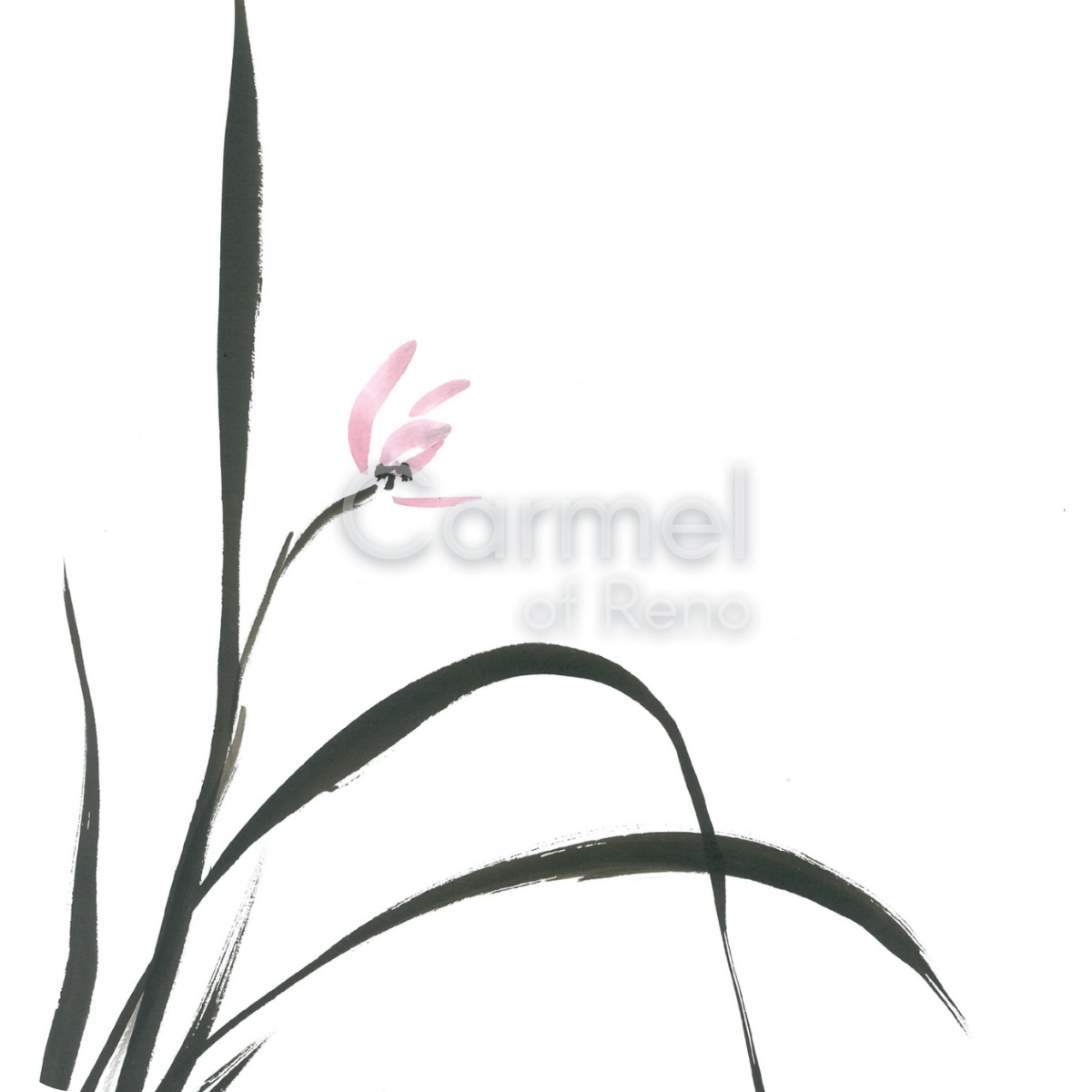 Illustration of a single orchid