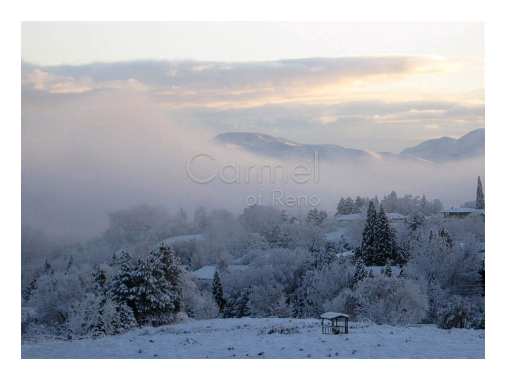 Season of Wonder – Print