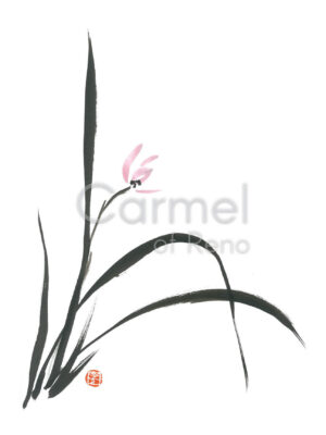 Spring Orchid - Print