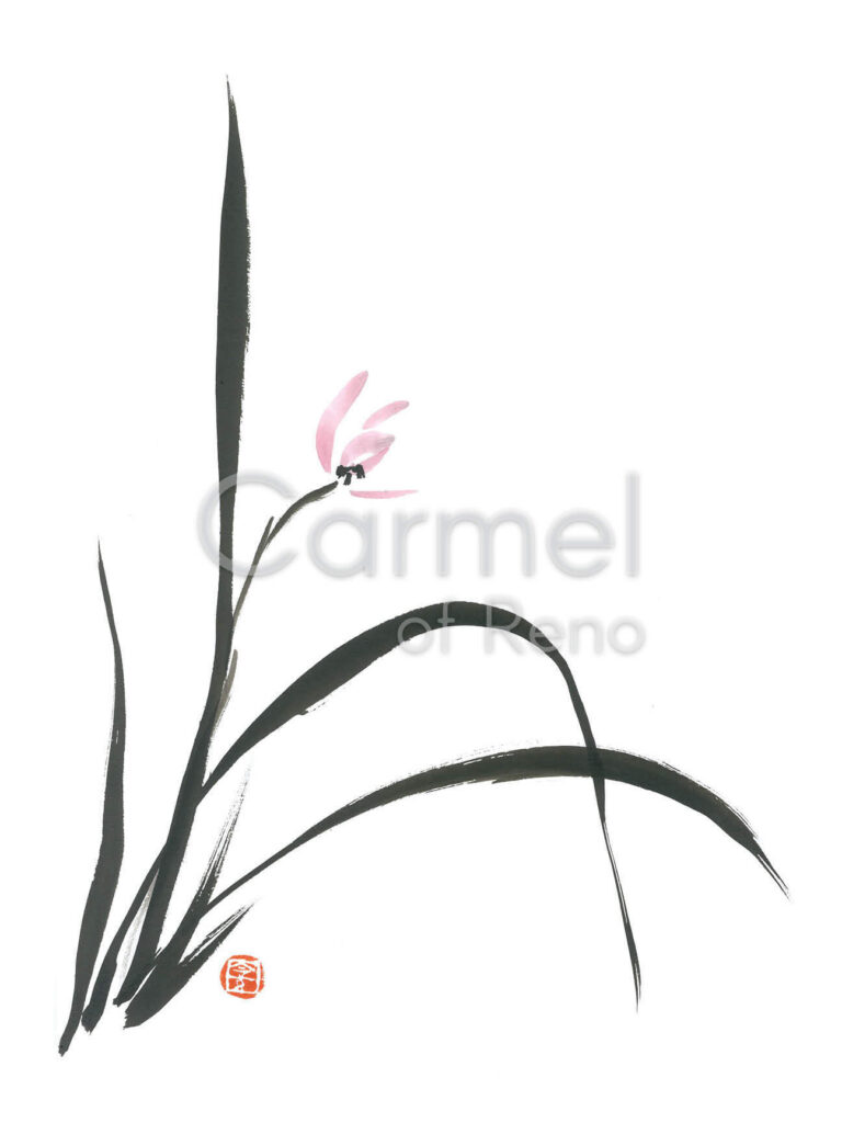 Spring Orchid – Print