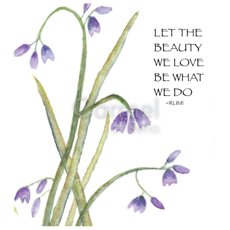 A simple purple blossom with Rumi quote