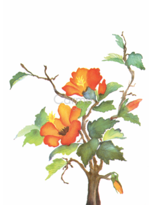 Asian Flower -Card